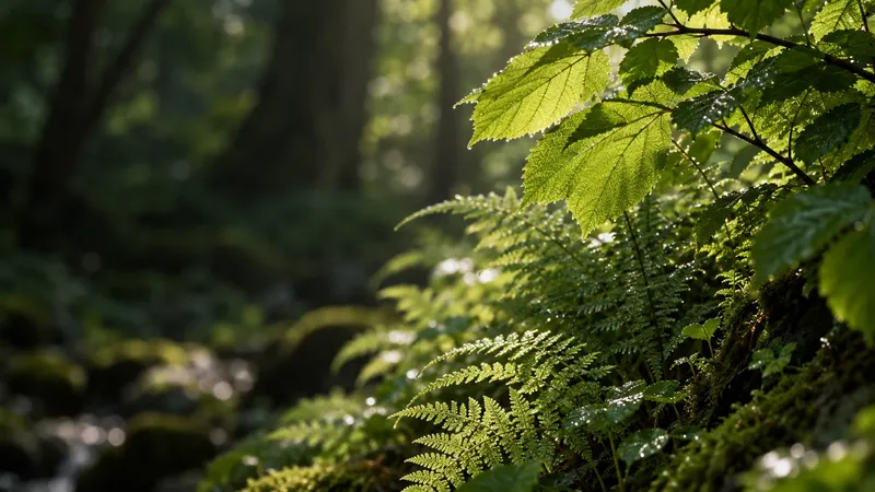 Sunlight passing through a green leaf canopy